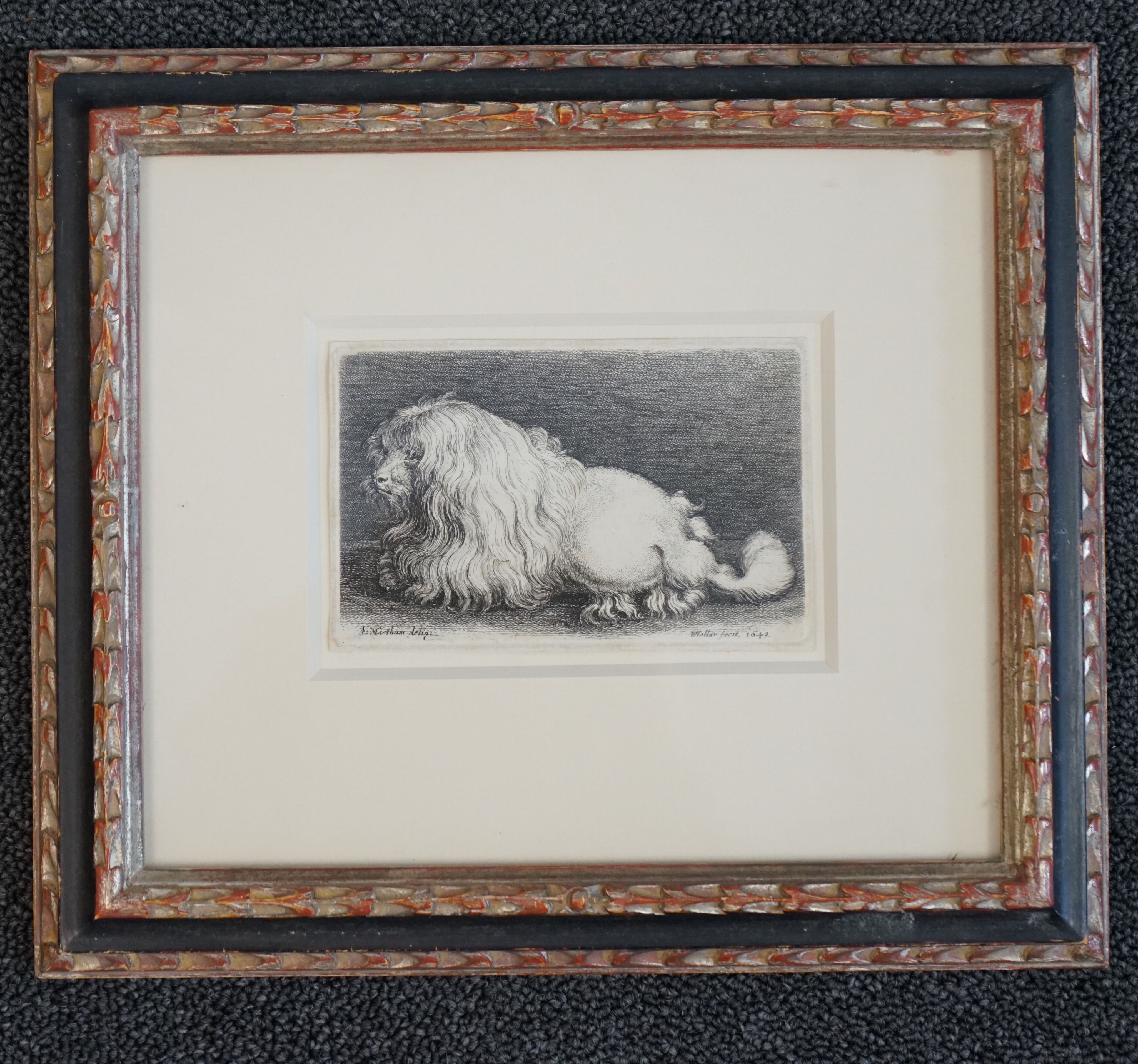Wenceslaus Hollar Von Prachna (1607-1677), 'The Bolognese Terrier', etching, 8 x 12.5cm